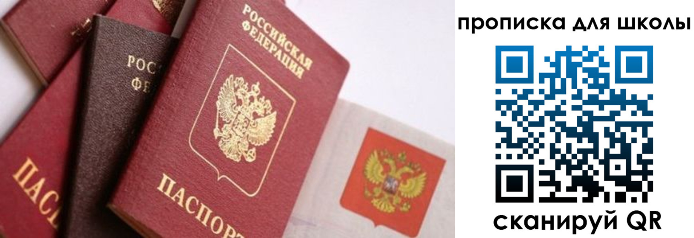 прописка поиск в Архангельской области